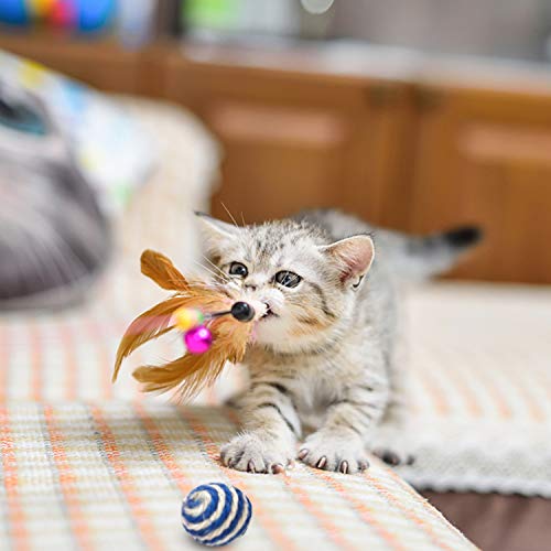 Cat Toys Kitten Toys Assortments, 16PCS Variety Kitty Toy Set Including Interactive Feather Teaser Toy, Mouse Tumbler, Mylar Crinkle Balls Rainbow Balls Bells Toys, for Chewing Playing (Random Color)