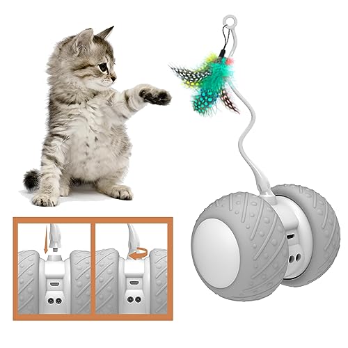 BENTOPAL Automatic Cat Toys Interactive Cat Feather Toys, Pet ExerciseToys, Electric Cat Toys for Indoor Cats/Kitten with Feather, 2020 Upgrade (Auto Cat Toy)