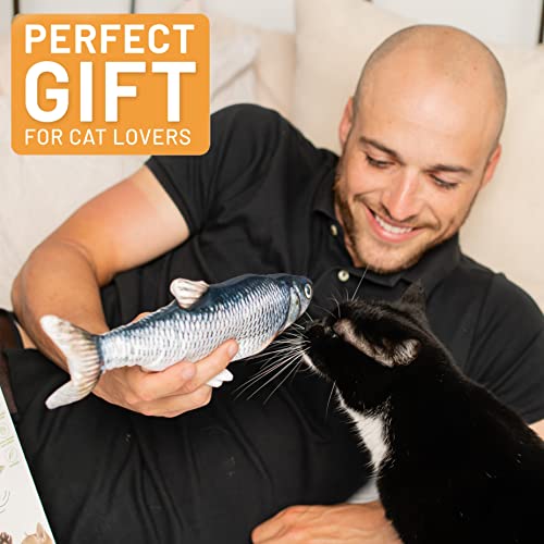 Dancing Fish Toy for Indoor Cats & Small Dogs  Motion Sensor Cat Toy with 2 Catnip Packets  USB-Chargeable, Soft, Durable, Washable, Low-Noise Flippity Fish Interactive Pet Gifts, 12x5 In.