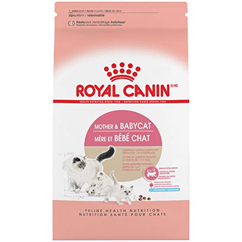 Royal Canin Feline Health Nutrition Mother & Babycat Dry Cat Food for Newborn Kittens and Pregnant or Nursing Cats, 3.5 Pound Bag