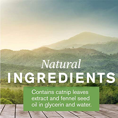Nature's Sunshine Catnip and Fennel 2 Fl Oz