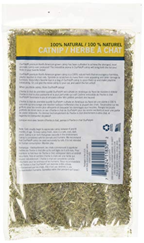 OurPets 1050011830 Catnip Polybag Catnip 1/2-Ounce, Beige