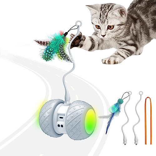 BENTOPAL Automatic Cat Toys Interactive Cat Feather Toys, Pet ExerciseToys, Electric Cat Toys for Indoor Cats/Kitten with Feather, 2020 Upgrade (Auto Cat Toy)