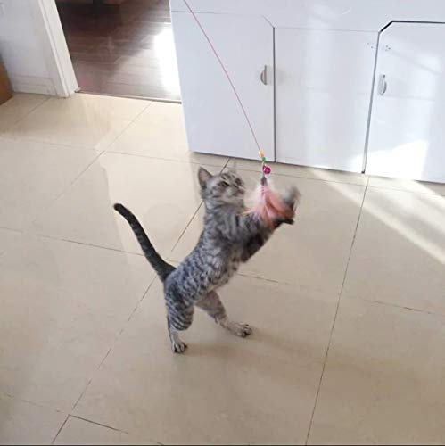 Cat Toys Kitten Toys Assortments, 16PCS Variety Kitty Toy Set Including Interactive Feather Teaser Toy, Mouse Tumbler, Mylar Crinkle Balls Rainbow Balls Bells Toys, for Chewing Playing (Random Color)