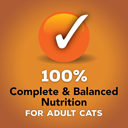 Purina Friskies Pate Wet Cat Food Variety Pack, Extra Gravy Pate Chicken, Turkey, Salmon & Tuna - (24) 5.5 oz. Cans