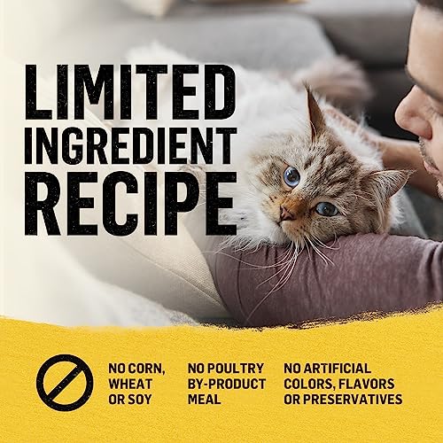 Purina Beyond Natural Limited Ingredient Dry Cat Food, Simply White Meat Chicken & Whole Oat Meal Recipe - 3 lb. Bag
