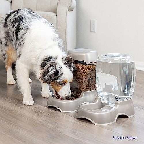 Petmate Pet Cafe Waterer Cat and Dog Water Dispenser 4 Sizes, 3 GAL, Pearl Tan