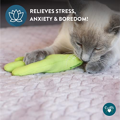 Cosmic Catnip OurPets Cactus Cat Toy Prickles