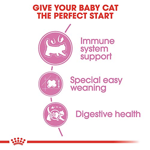 Royal Canin Feline Health Nutrition Mother & Babycat Dry Cat Food for Newborn Kittens and Pregnant or Nursing Cats, 3.5 Pound Bag