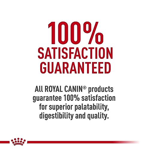 Royal Canin Indoor Adult Dry Cat Food, 3 lb.