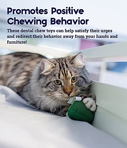 Petstages Lil' Avocato Catnip and Dental Mesh Avocado Cat Toy