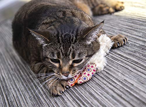 Petlinks Refillable Catnip Cat Toys, Fresh Catch