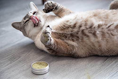 Meowy Janes Catnip Alternative Variety Powder Pack- Catnip Keef, Silvervine Powder and Valerian Root Powder Catnip Powder - Cat Toy