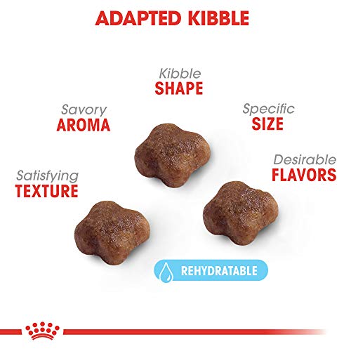 Royal Canin Feline Health Nutrition Mother & Babycat Dry Cat Food for Newborn Kittens and Pregnant or Nursing Cats, 3.5 Pound Bag