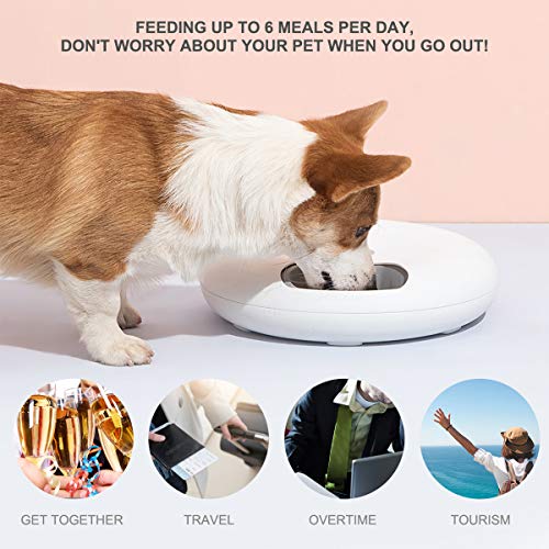 Pawsfiesta Automatic Pet Dog Cat Feeder with Programmable Digital Timer, 6-Meal Food Dispenser Trays, Power by USB or Battery, Portion Control, LCD Display, Feeds Wet or Dry Food