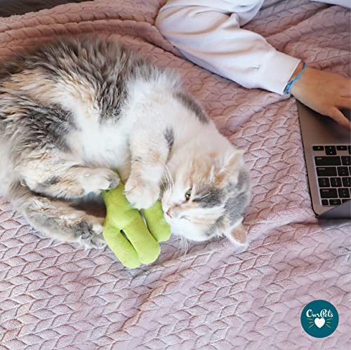 Cosmic Catnip OurPets Cactus Cat Toy Prickles