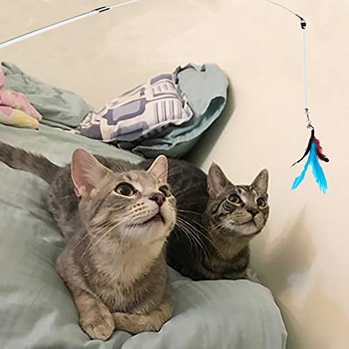M JJYPET Retractable Cat Toy Wand, 12 Packs Interactive Cat Feather Toys, 9 Assorted Teaser Refills with Bell for Cat Kitten (Blue)