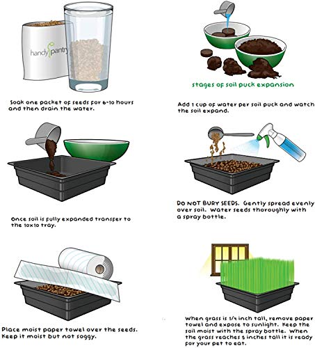 Handy Pantry Organic Cat Grass Kit - Includes 3 Trays, 3 Soil Pucks, and 3 Packs Non GMO Wheatgrass Seed - A Healthy Treat for Cats, Dogs, Rabbits, and More