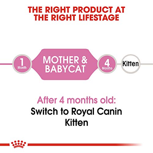 Royal Canin Feline Health Nutrition Mother & Babycat Dry Cat Food for Newborn Kittens and Pregnant or Nursing Cats, 3.5 Pound Bag