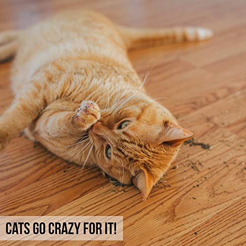 OurPets 1050011830 Catnip Polybag Catnip 1/2-Ounce, Beige