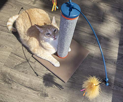 SmartyKat Scratch 'N Spin Carpet Scratching Post Cat Scratcher