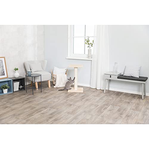 TRIXIE Pet Products Espejo Scratching Post