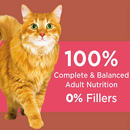 IAMS PROACTIVE HEALTH High Protein Adult Dry Cat Food with Chicken & Salmon Cat Kibble, 3 lb. Bag