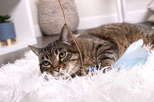 SmartyKat Frisky Flyer Feather Wand