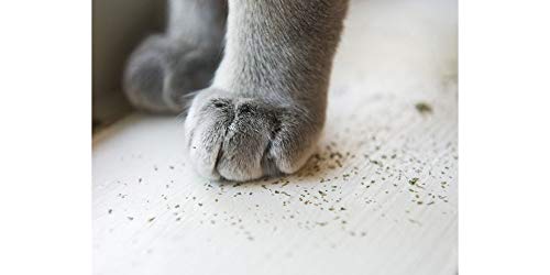Meowijuana | Organic | Dried Premium Ground Catnip | High Potency Cat Treats | Perfect for Cat Toys | Grown in The USA | Feline & Cat Lover Approved (Paw Natural, Single Pack)