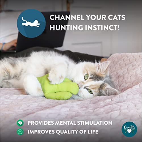 Cosmic Catnip OurPets Cactus Cat Toy Prickles
