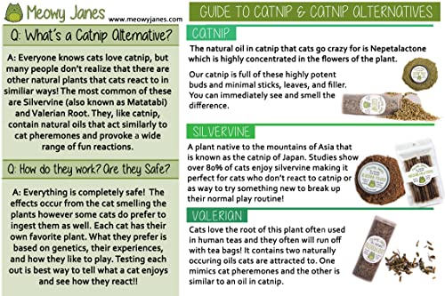Meowy Janes Catnip Alternative Variety Powder Pack- Catnip Keef, Silvervine Powder and Valerian Root Powder Catnip Powder - Cat Toy