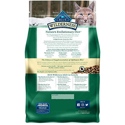 Blue Buffalo Wilderness High Protein, Natural Adult Dry Cat Food, Duck 2-lb