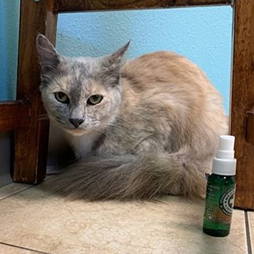 Meowijuana Catnip Spray