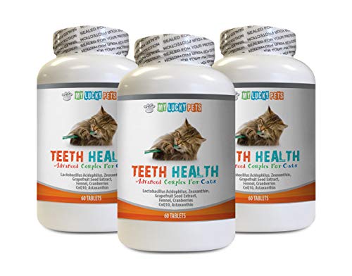 cat Bad Breathe - CAT Teeth Health Formula - Gum and Oral Care - Immune Booster - Advanced Complex - cat Hair Vitamin - 3 Bottles (180 Tablets)