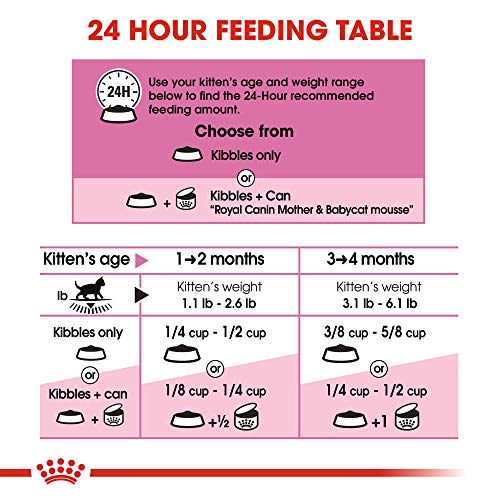 Royal Canin Feline Health Nutrition Mother & Babycat Dry Cat Food for Newborn Kittens and Pregnant or Nursing Cats, 3.5 Pound Bag
