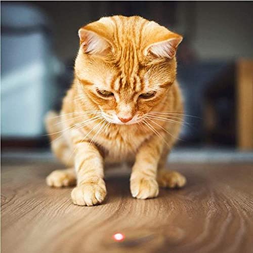 Pet Fit For Life Rechargeable Chaser Light Cat Feather Teaser Toy and Interactive Squiggly Worm Kitten Wand Combo W/Bird Chirping Call to Action