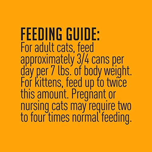 Tiki Pets Grill Grain Free Canned Wet Food with Whole Seafood in Broth for Cats and Kittens, Mackerel Sardine Calamari 4 cans 10oz