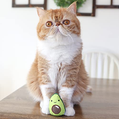 Petstages Lil' Avocato Catnip and Dental Mesh Avocado Cat Toy