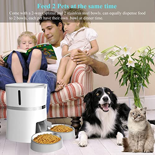 WellToBe Automatic Cat Feeder, Pet Feeder Food Dispenser for Cat & Small Dog with Two-Way Splitter and Double Bowls, up to 6 Meals with Portion Control, Voice Recorder - Battery and Plug-in Power