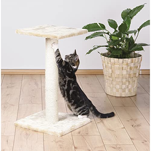 TRIXIE Pet Products Espejo Scratching Post
