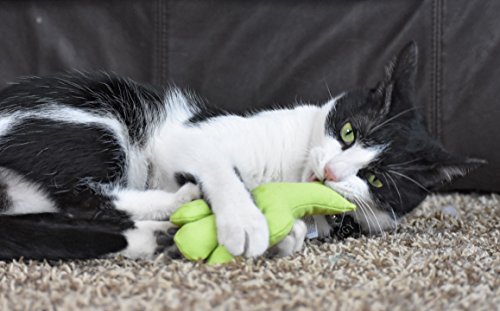 Cosmic Catnip OurPets Cactus Cat Toy Prickles