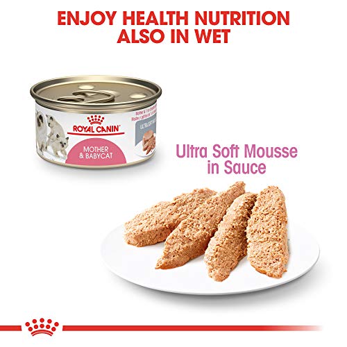 Royal Canin Feline Health Nutrition Mother & Babycat Dry Cat Food for Newborn Kittens and Pregnant or Nursing Cats, 3.5 Pound Bag