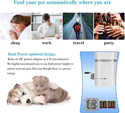 WellToBe Automatic Cat Feeder, Pet Feeder Food Dispenser for Cat & Small Dog with Two-Way Splitter and Double Bowls, up to 6 Meals with Portion Control, Voice Recorder - Battery and Plug-in Power