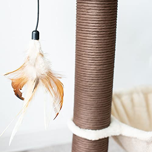 Catry, Cat Tree Hammock Bed with Natural Paper Rope Scratching Posts and Teasing Feather for Kitten (Version 1)