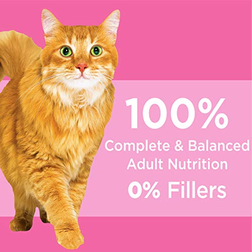 IAMS PROACTIVE HEALTH Adult Sensitive Digestion & Skin Dry Cat Food with Real Turkey Cat Kibble, 3 lb. Bag