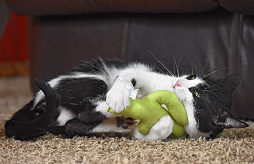 Cosmic Catnip OurPets Cactus Cat Toy Prickles