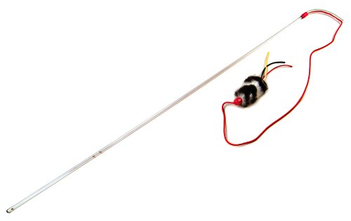 PURRfect Cat Toys with Feather