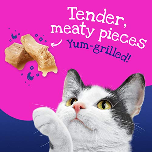 Purina Friskies Gravy Wet Cat Food Variety Pack, Stuf'd & Sauc'd with Chicken, Salmon & Shrimp, Tuna & Turkey - (32) 5.5 oz. Cans, New! Stuf'd & Sauc'd (050000505159)