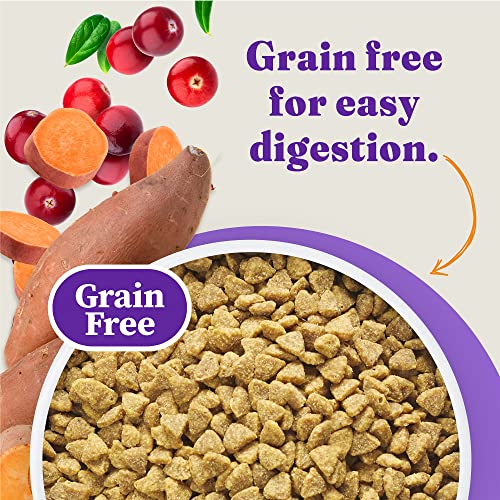 Halo Grain Free Natural Dry Cat Food - Indoor and Healthy Weight Recipe - Premium and Holistic Chicken & Chicken Liver - 3 Pound Bag - Non-GMO Adult Dry Cat Food - Whole Meat and Highly Digestible