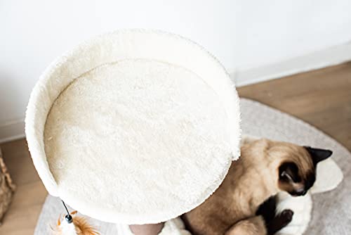 Catry, Cat Tree Hammock Bed with Natural Paper Rope Scratching Posts and Teasing Feather for Kitten (Version 1)